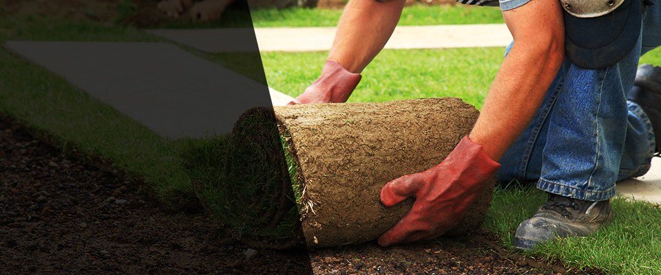 Bordentown Landscapers